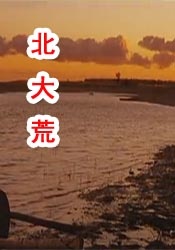 伊人99在线